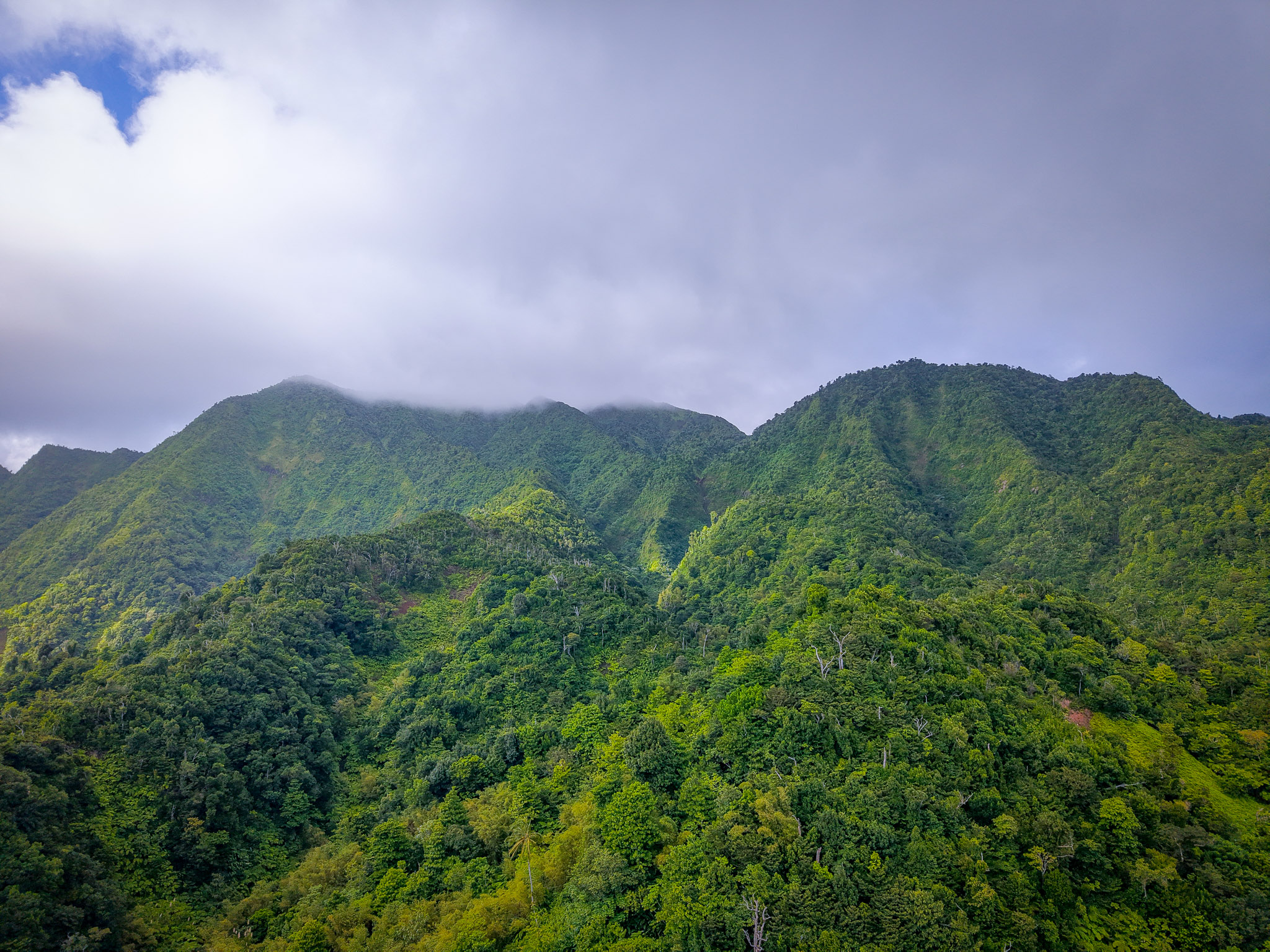 Fond Saint Jean – Petite Savanne Main Road in Dominica met kustweg en uitzicht over zee