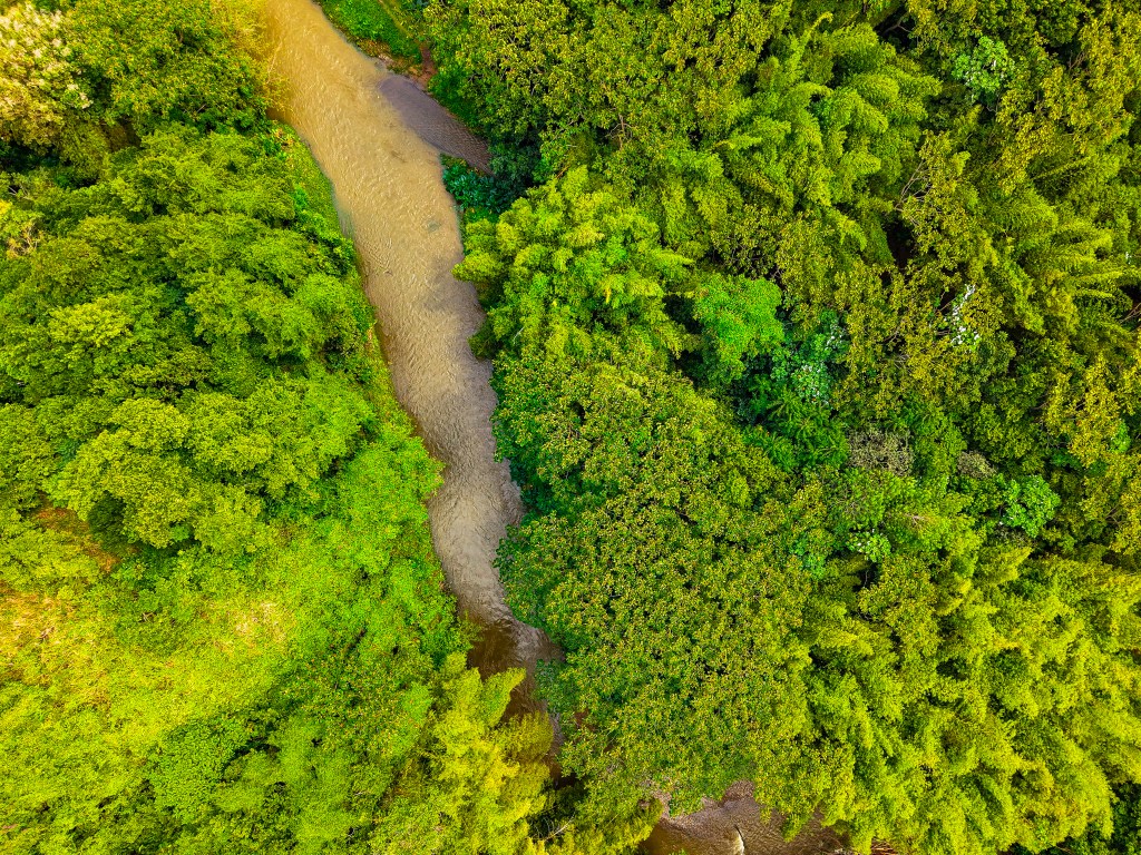 Hampstead in Dominica met groene heuvels en uitzicht over de Atlantische kust