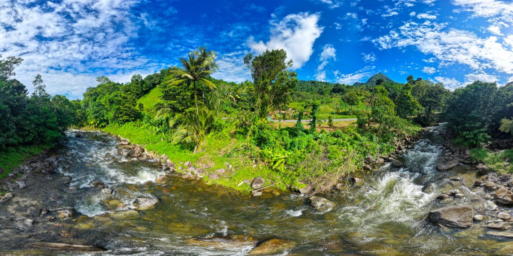 Rivière Dleau Manioc in Dominica met rivier die door een groene jungleomgeving stroomt